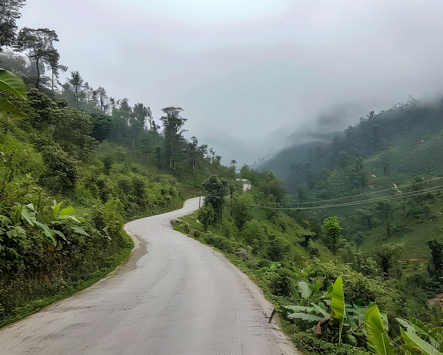 Winding Road Through Lush Mountains