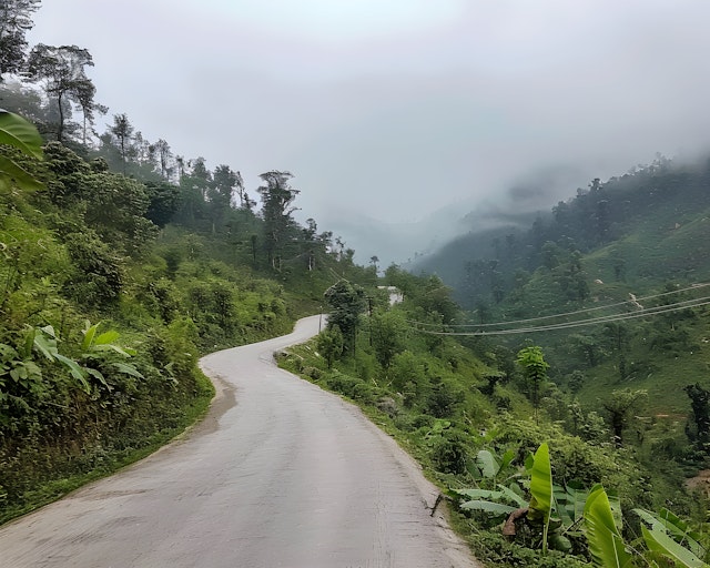 Winding Road Through Lush Mountains