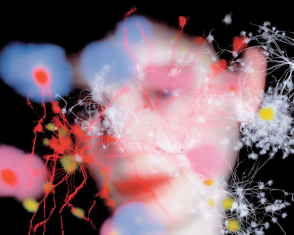 Abstract Neural Patterns
