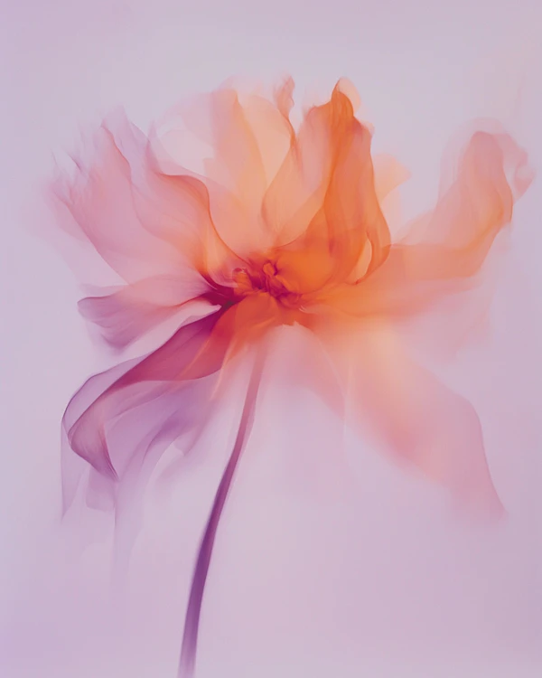 Ethereal Flower Art