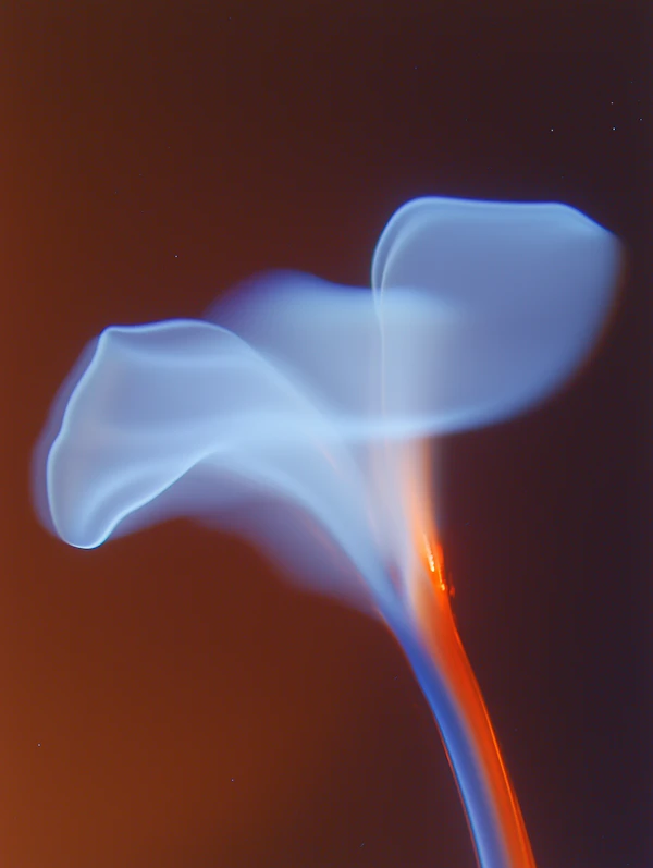 Dynamic Light & Color