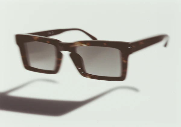 Tortoiseshell Sunglasses