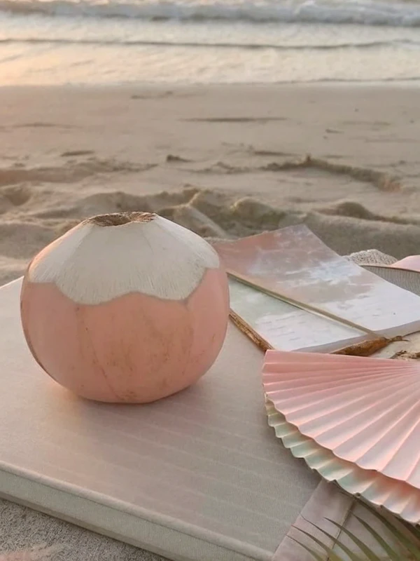 Serene Beach Still Life