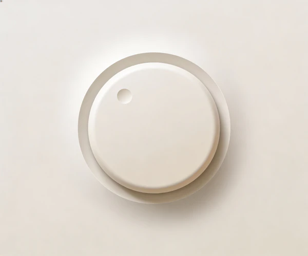 Minimalist Circular Design