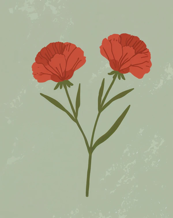 Minimalist Red Carnation