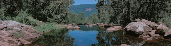 Tranquil Nature Scene