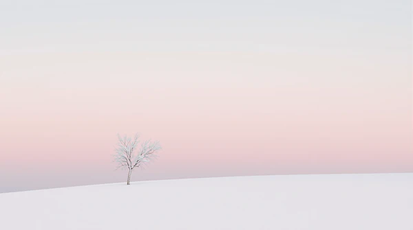 Solitary Tree on Snowy Slope