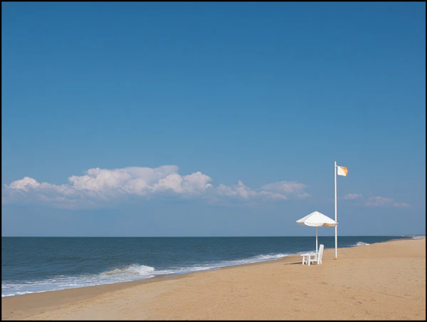 Serene Beach View