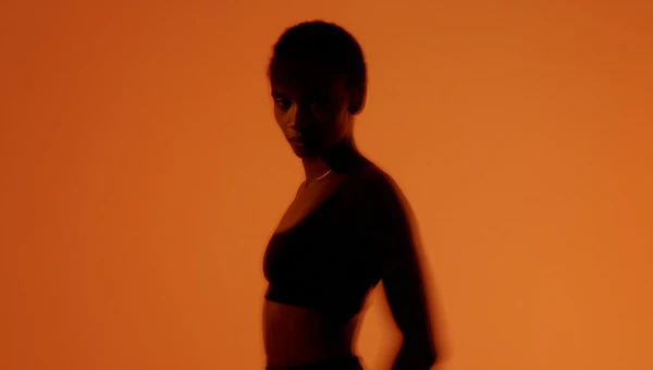 Silhouette in Orange
