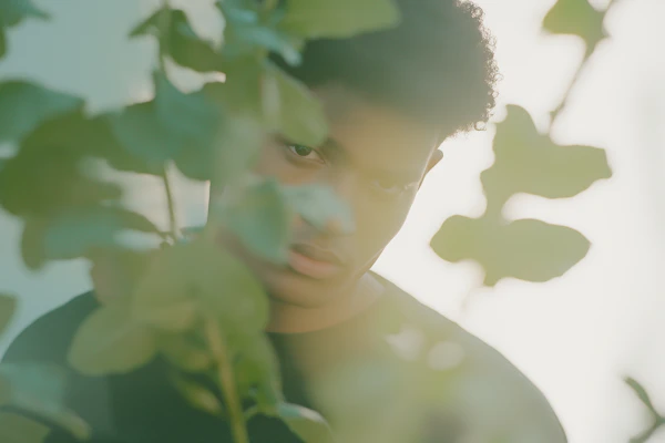 Man Behind Green Leaves