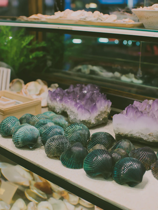 Crystal and Seashell Stock