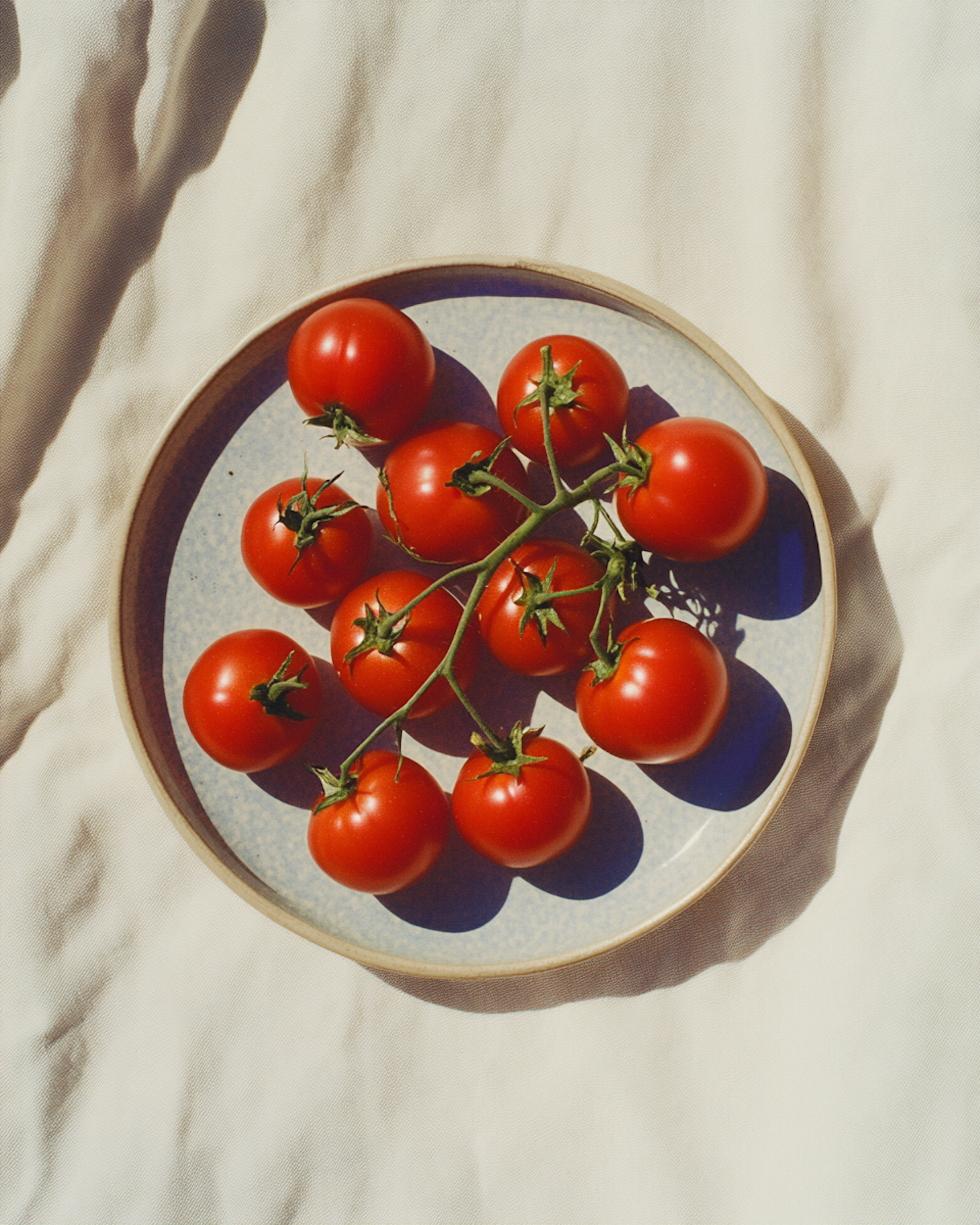 Vibrant Red Tomatoes on a Vine