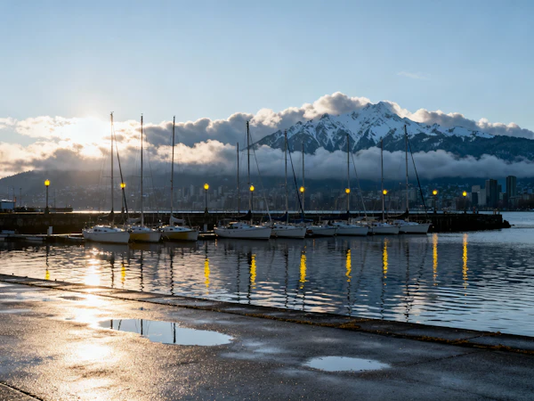 Serene Marina Sunrise