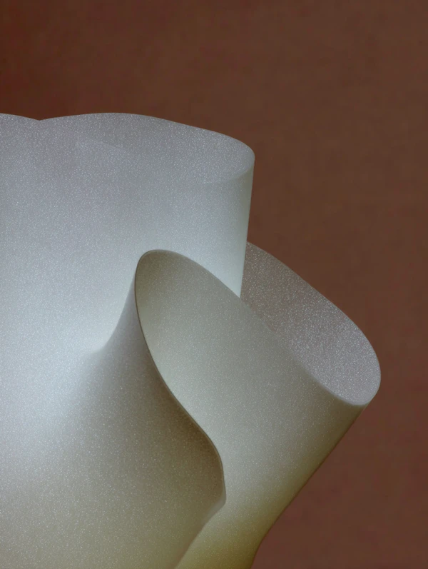 Abstract Sculptural Form