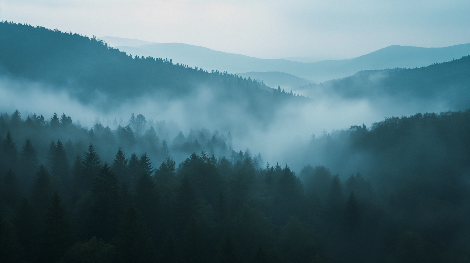 Misty Dawn in the Coniferous Mountains