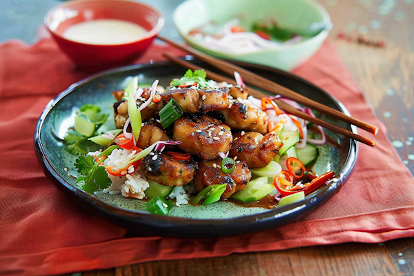 Asian Cuisine Delight - Grilled Chicken Over Rice