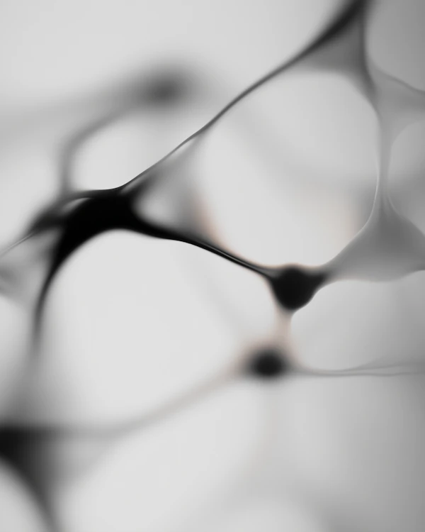 Abstract Neural Web
