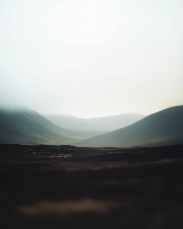 Serene Rolling Hills