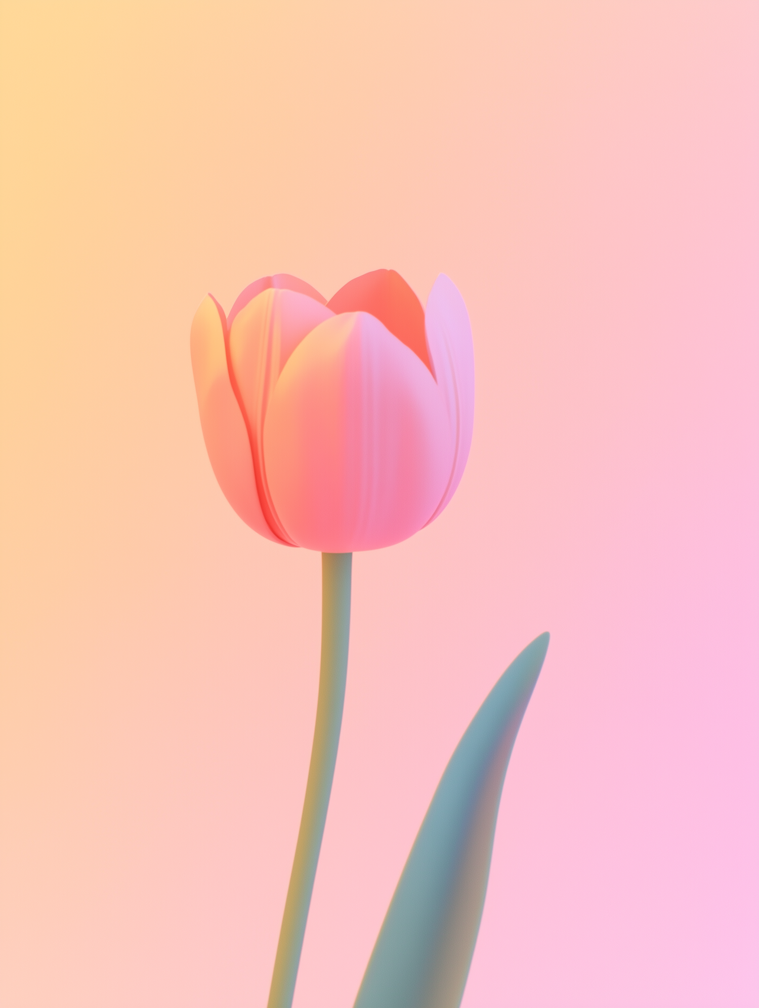 Serene Pink Tulip