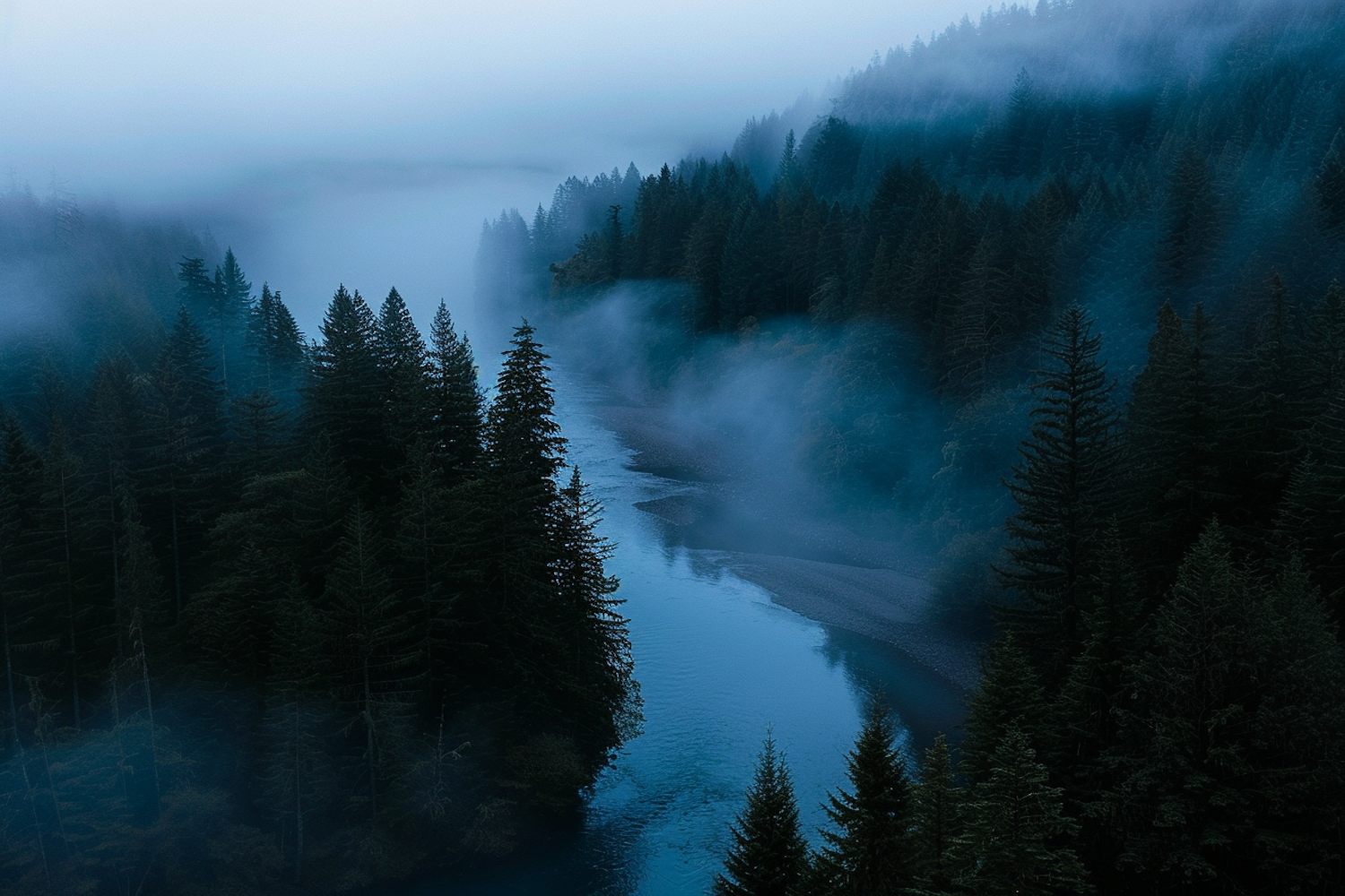 Misty Forest Landscape