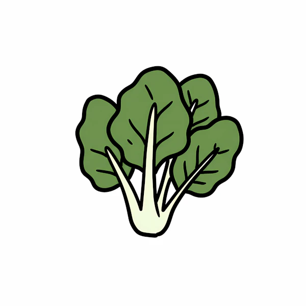 Spinach Illustration