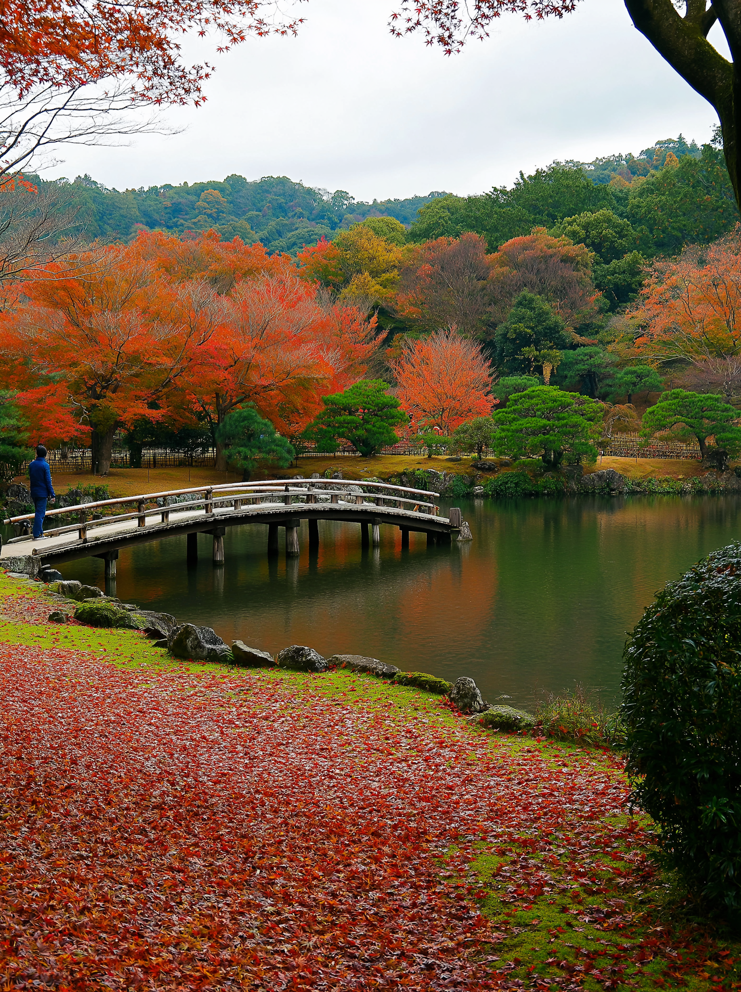 Autumn Bridge Landscape