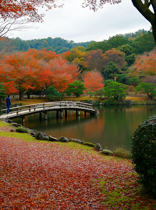 Autumn Bridge Landscape