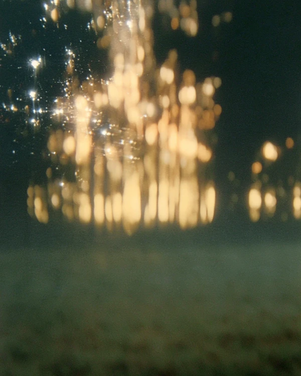 Golden Bokeh Dreamscape