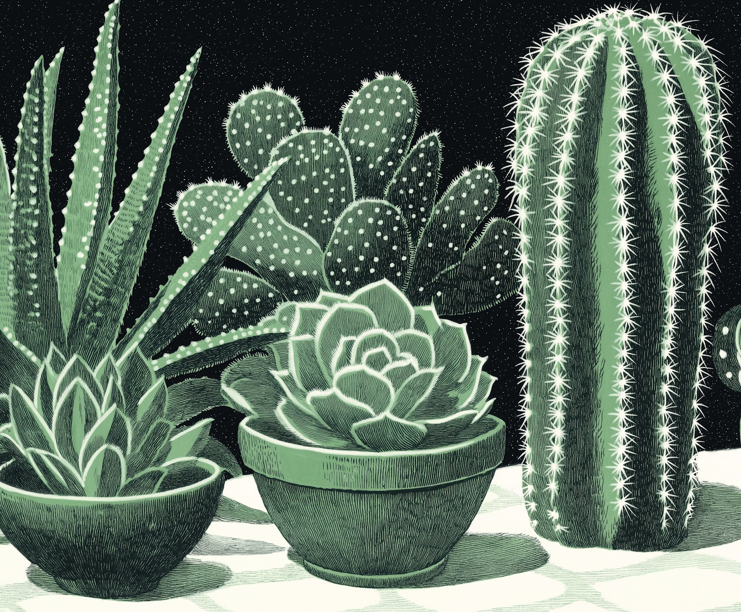 Monochrome Succulents and Cacti Illustration