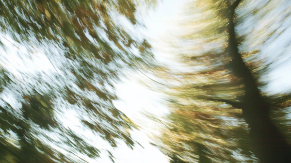Abstract Forest Motion