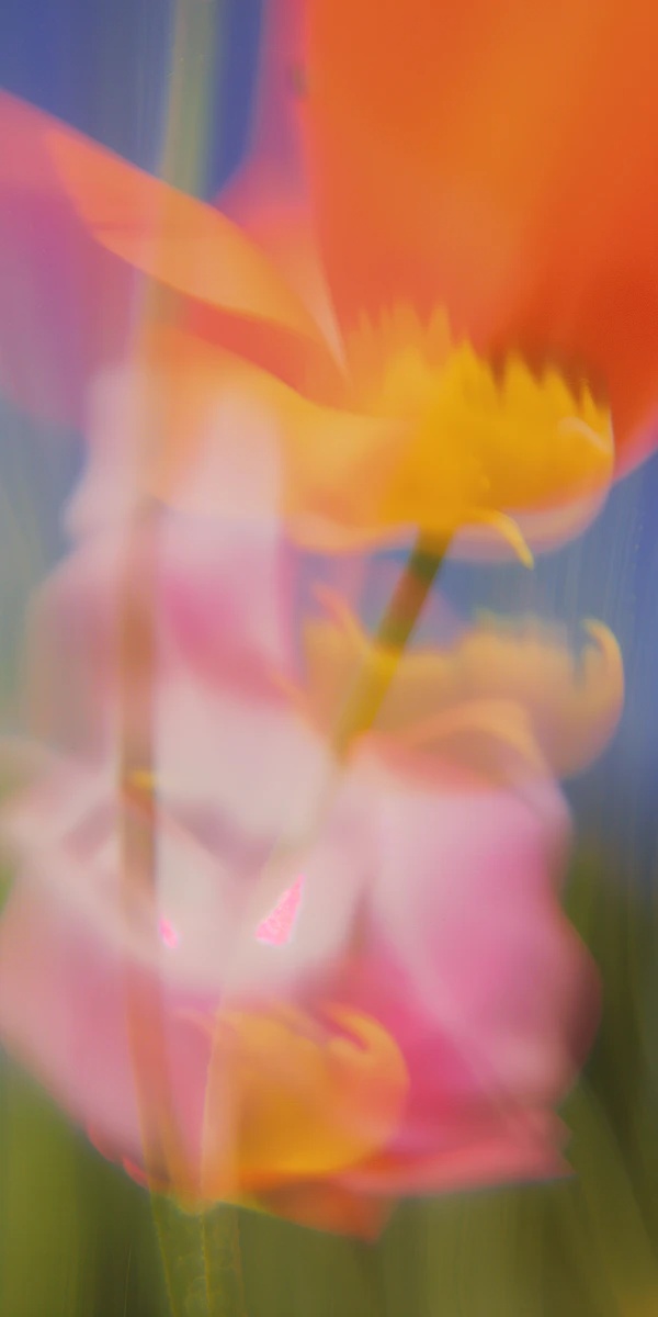 Dreamy Floral Abstract