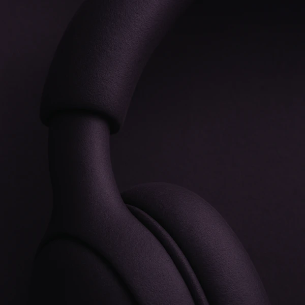 Sleek Black Headphones