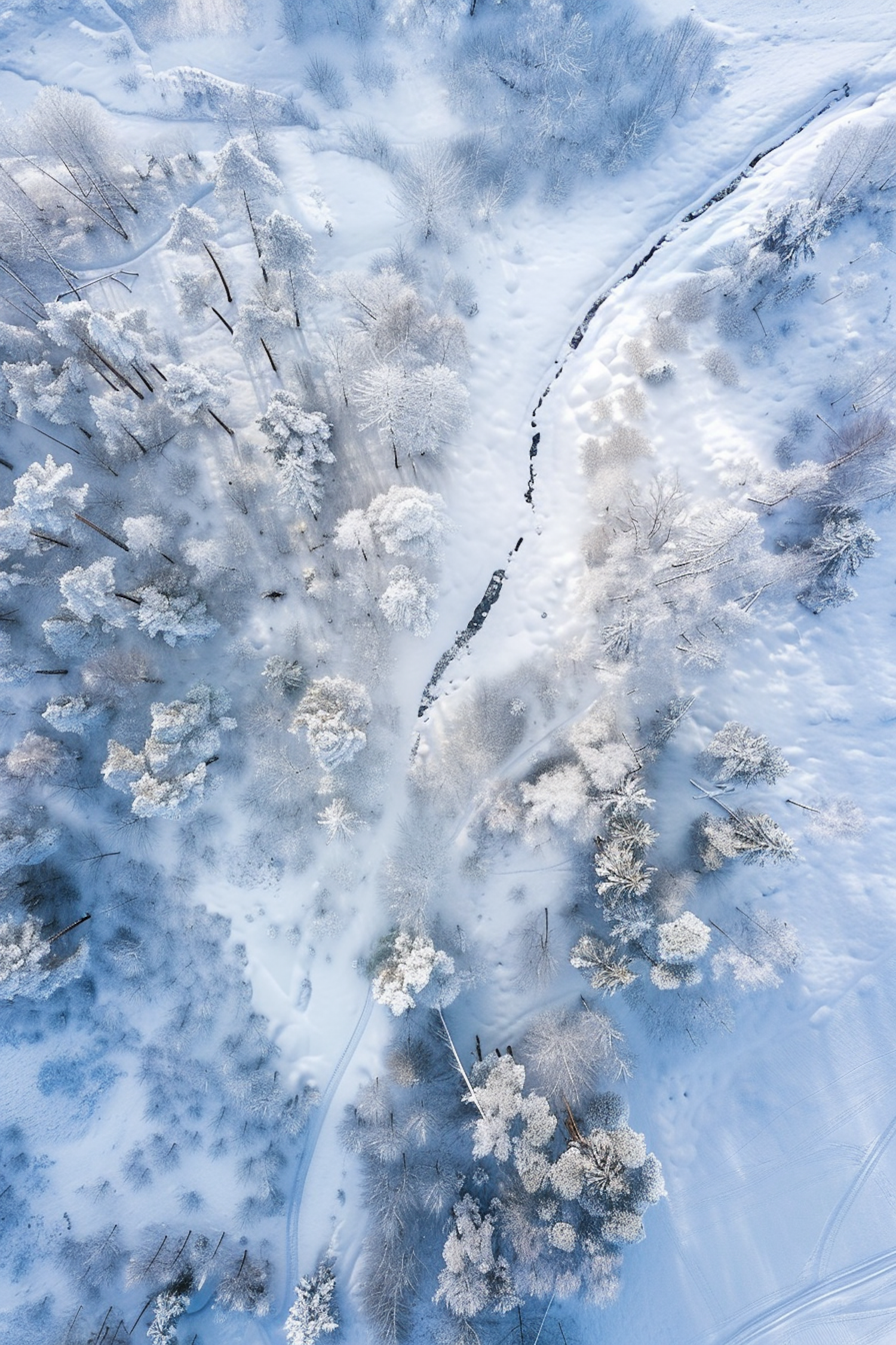 Serene Winter Landscape from Above