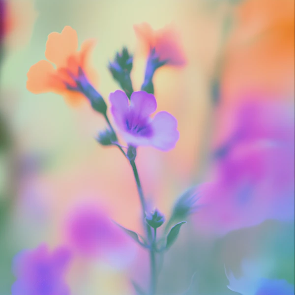 Dreamy Flower Composition
