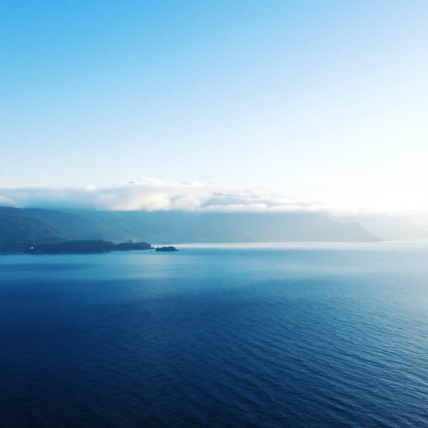 Serene Landscape with Water and Mountains