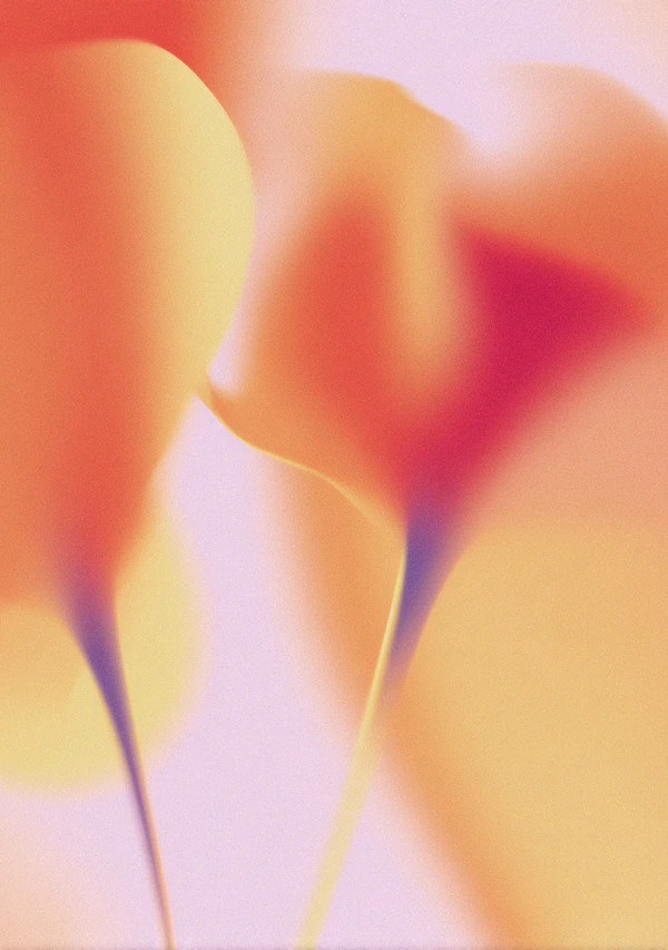 Dreamy Floral Abstract