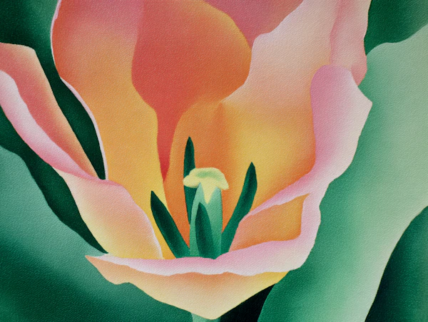 Abstract Flower Blossom