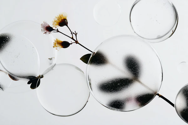 Bubbles and Flowers