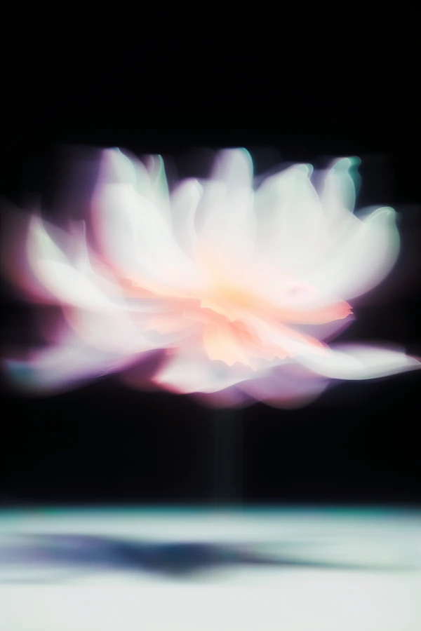 Ethereal Lotus Glow