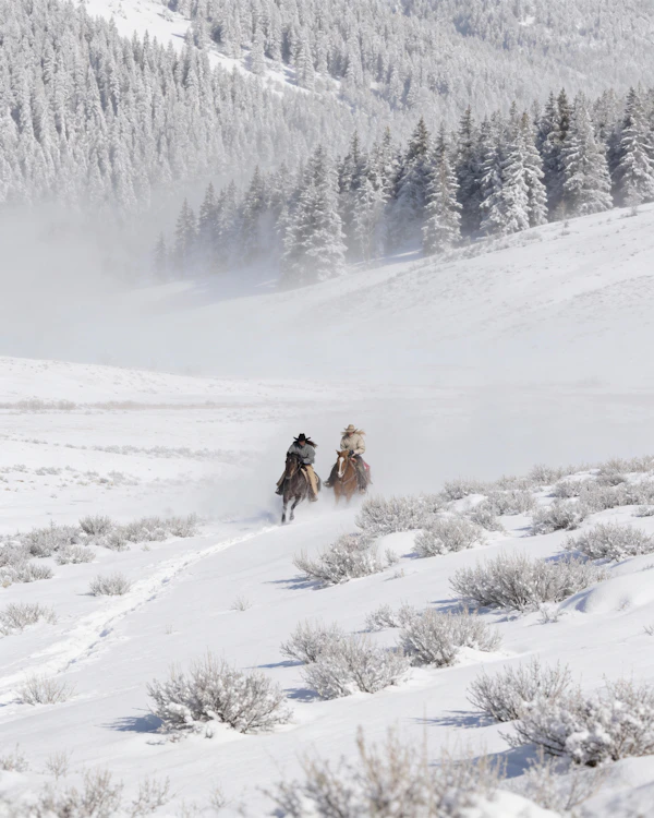 Winter Horseback Journey