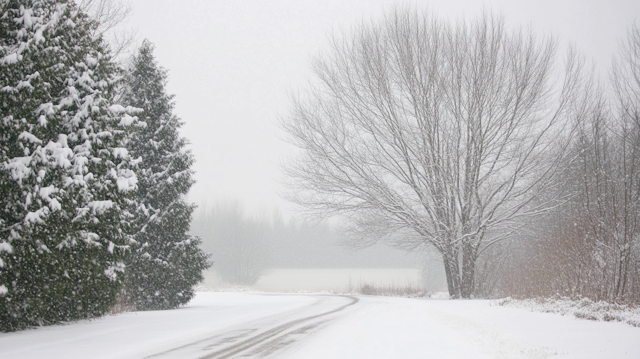 Serene Winter Landscape