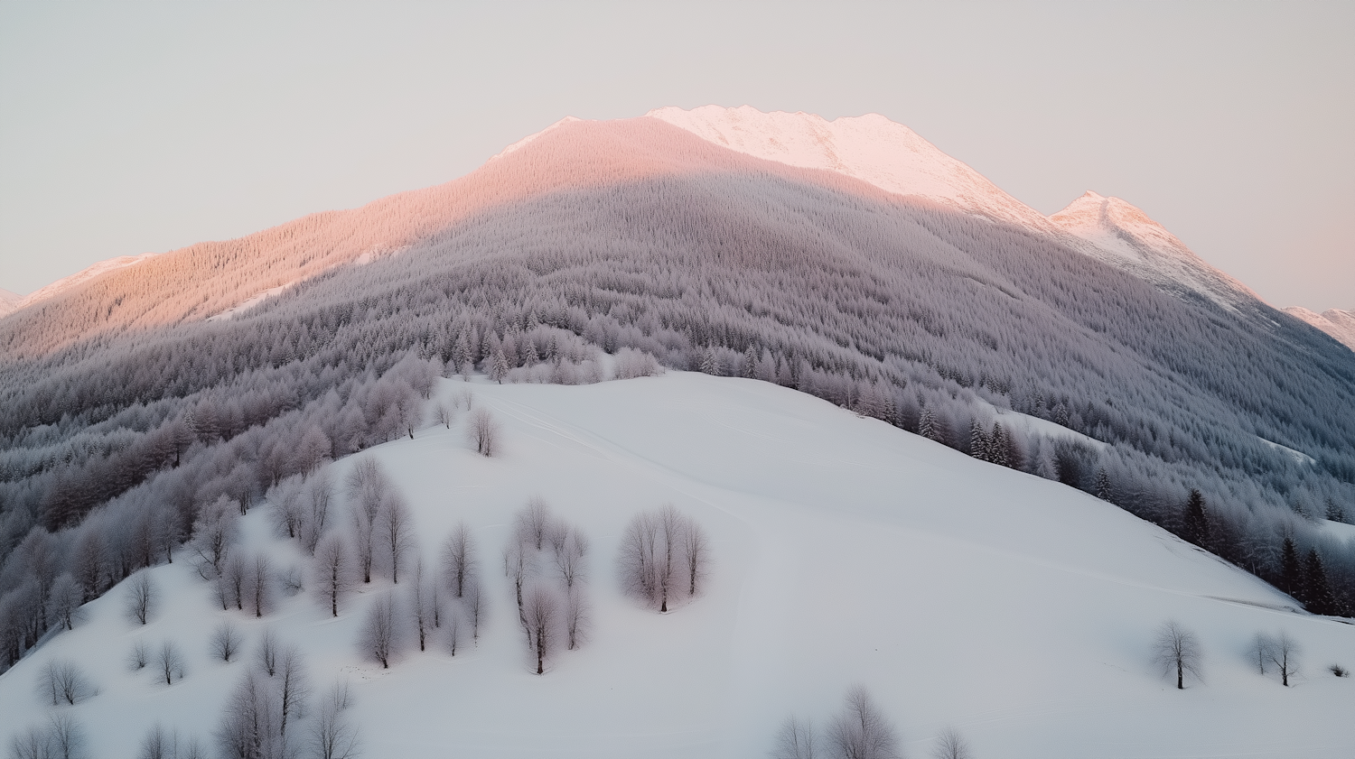 Serene Winter Landscape