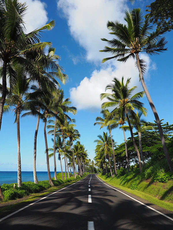 Tropical Coastal Road