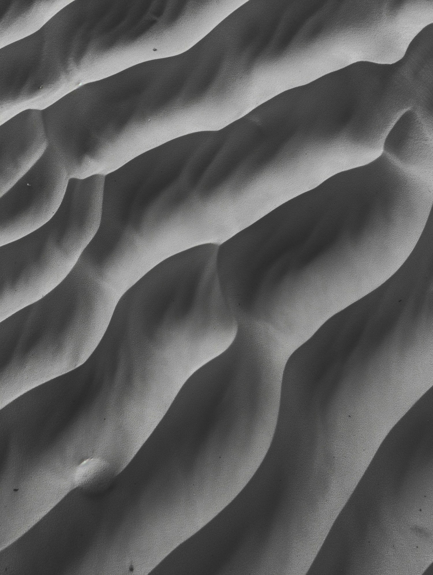 Abstract Sand Dunes in Grayscale