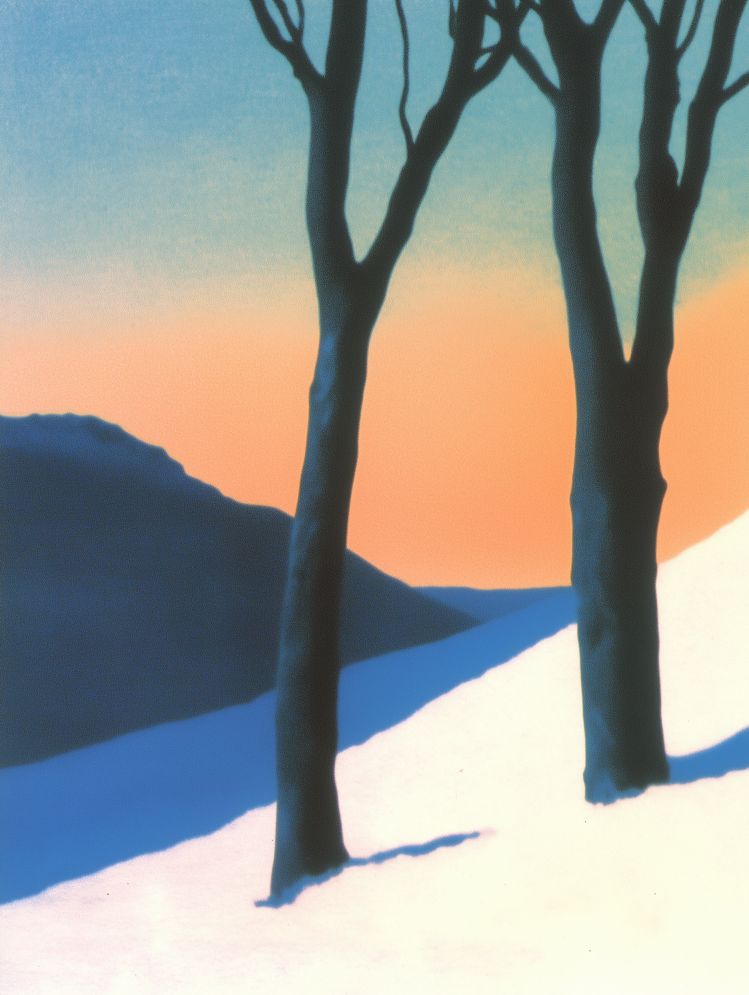 Serene Winter Landscape