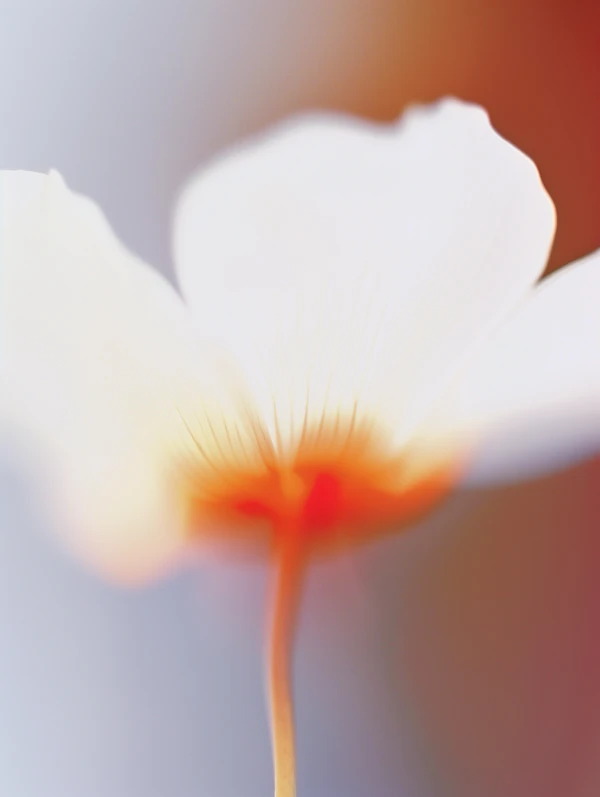 Abstract White Flower