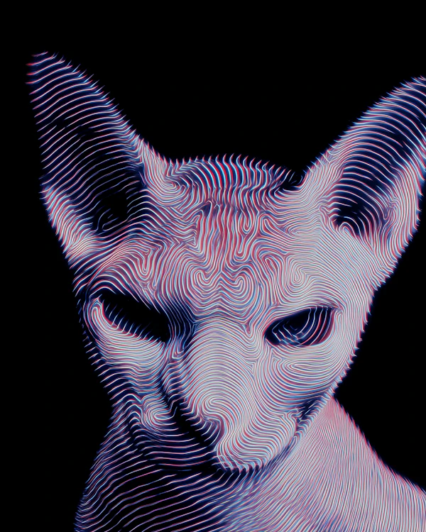 Stylized Sphynx Cat Art