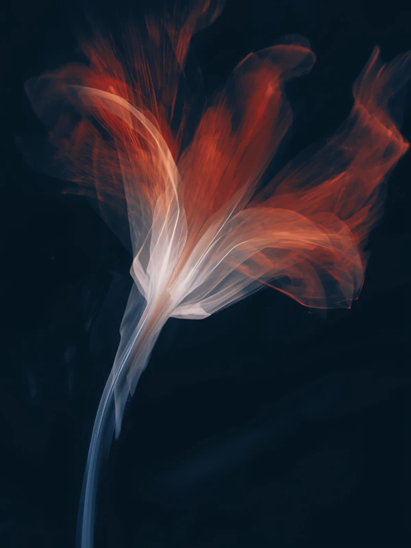 Abstract Flower Art