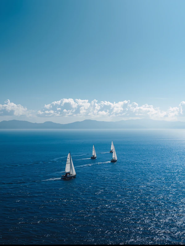 Sailboats on Calm Sea