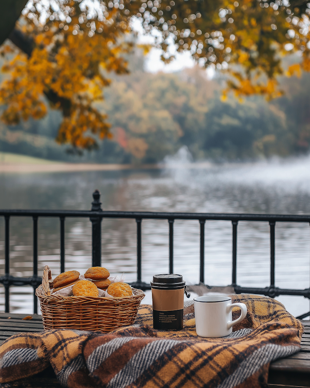 Autumn Picnic by the Lake